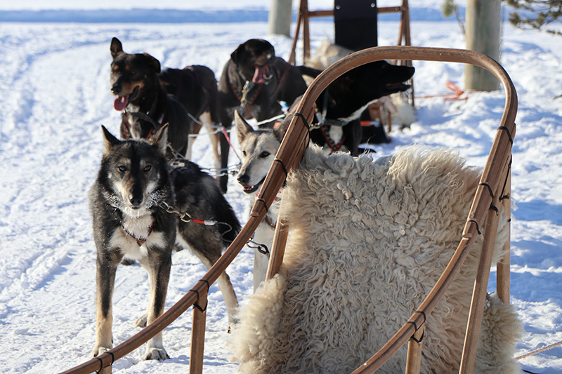 Kakslauttanen_G_0364