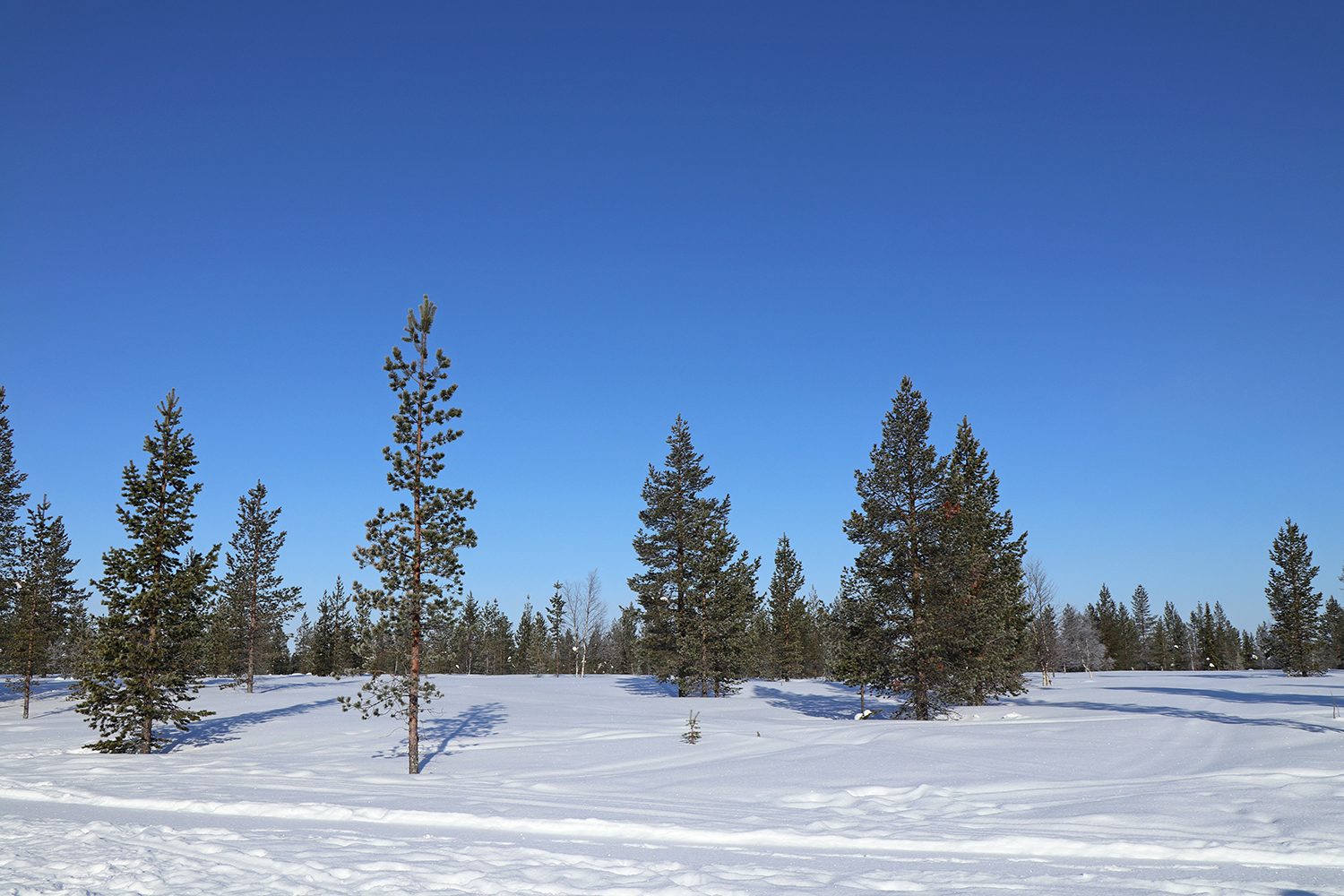 Kakslauttanen_G_0368