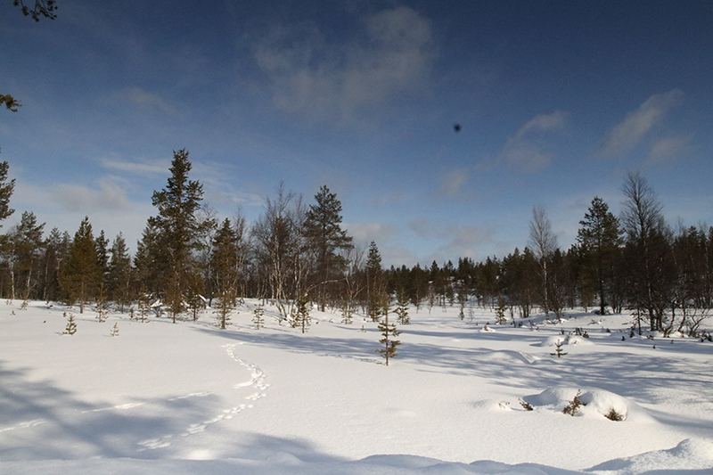 Kakslauttanen_G_0436